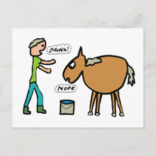 Horse To Water Postcard