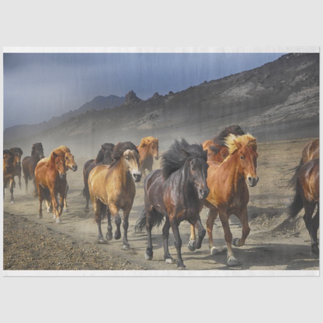 horse trail tissue paper (Front)