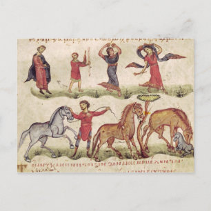 Horse Trainers Postcard
