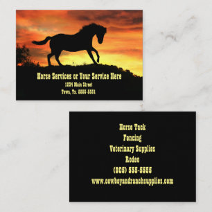 Horse Training Supplies Service Lessons Business C Card
