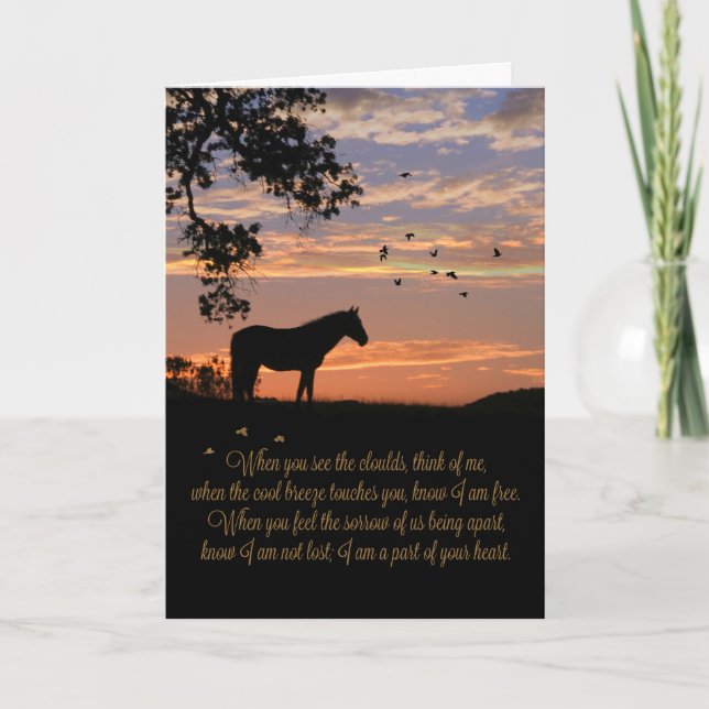 Horse Tribute Memorial Sympathy Card (Front)