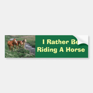 Horse Trio Bumper Sticker