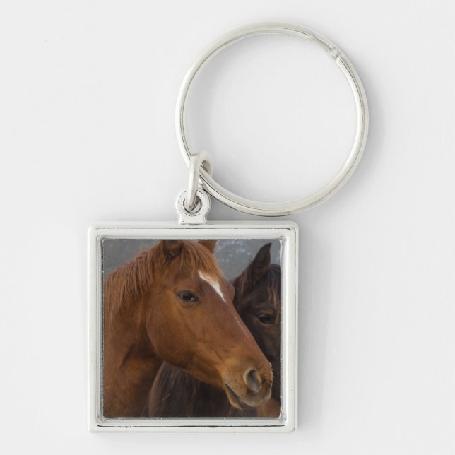 Horse Triplets Keychain (Front)