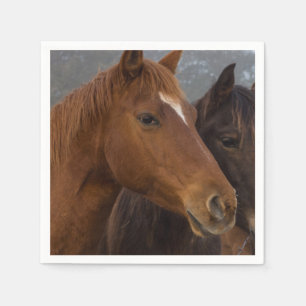 Horse Triplets Napkin