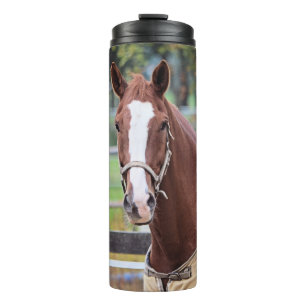 Horse tumbler