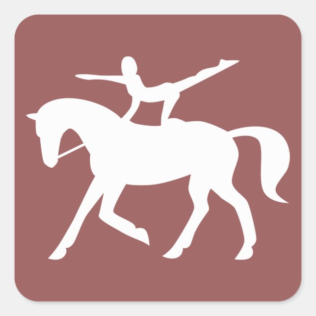 horse vaulting icon square sticker (Front)