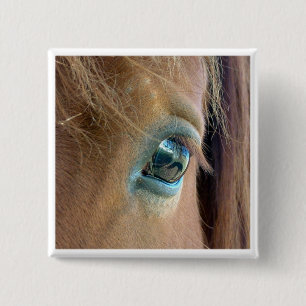 Horse Vision 2 Inch Square Button