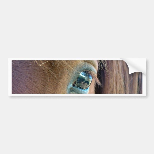 Horse Vision Bumper Sticker (Front)