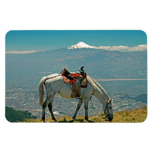 Horse & volcano, Quito, Ecuador Magnet