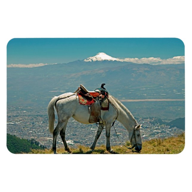 Horse & volcano, Quito, Ecuador Magnet (Horizontal)