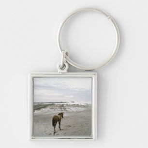Horse walking on the beach keychain