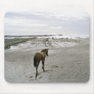 Horse walking on the beach mouse pad