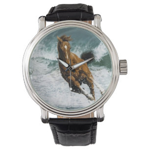 Horse Watch