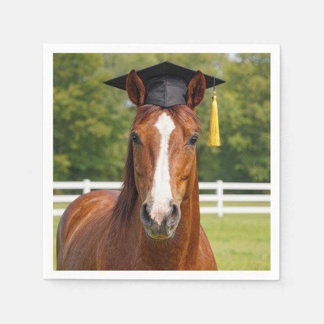 Horse Wearing a Graduation Cap Napkin (Front)