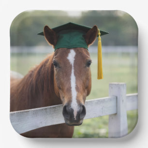 Horse Wearing a Green Graduation Cap Paper Plate
