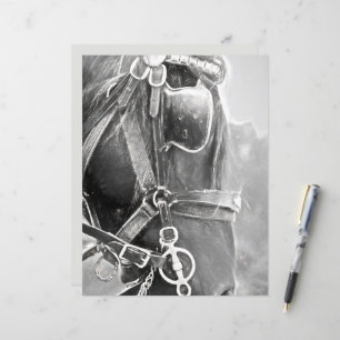 Horse Western Rustic Black And White Vintage Art