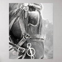 Horse Western Rustic Black And White Vintage Art