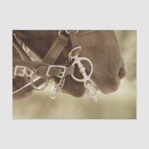 Horse Western Vintage Brown Green Rustic Decoupage Tissue Paper