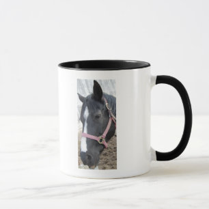 Horse Whisperer Mug