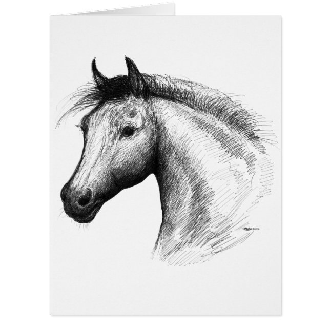 Horse:  White (Front)