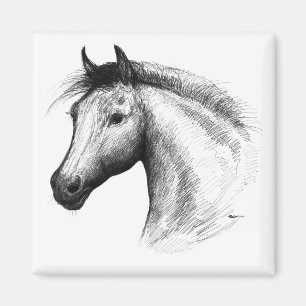 Horse: White Magnet