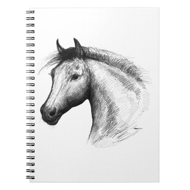 Horse:  White Notebook (Front)