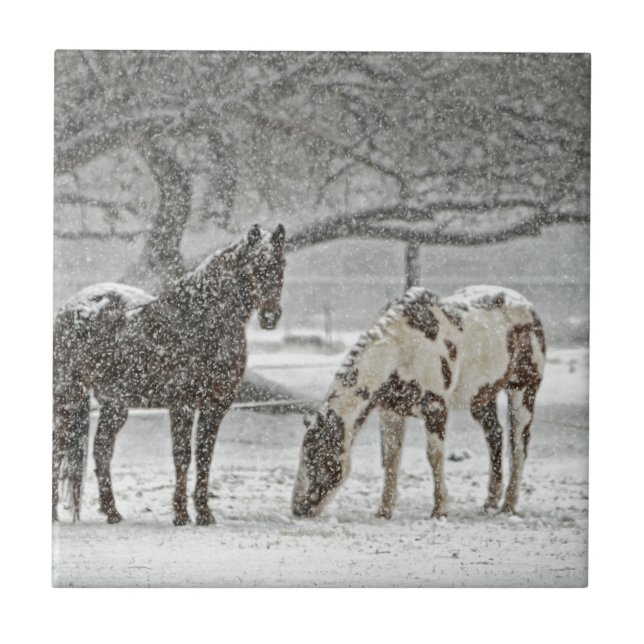 horse winter snow farm ranch animals snowy frozen tile (Front)