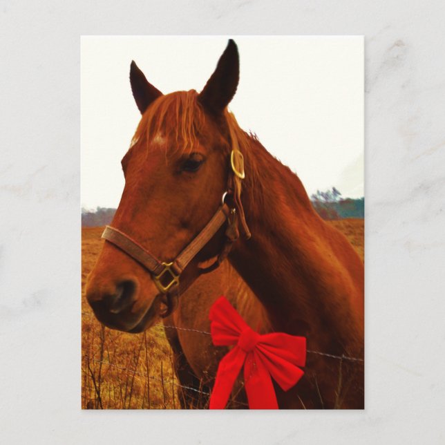 Horse with Red Bow Postcard (Front)