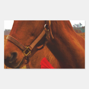 Horse with Red Bow Sticker