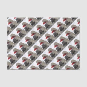 Horse with Santa Hat Tissue Paper