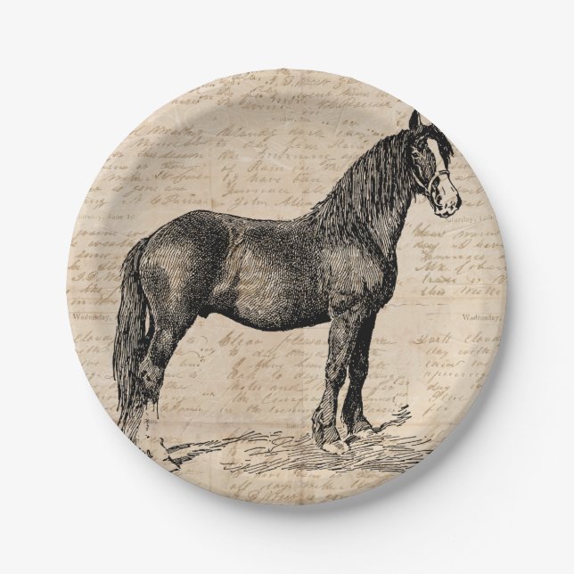 Horse with Script Paper Paper Plate (Front)