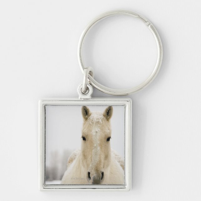 Horse with snow on head keychain (Front)