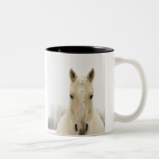 Horse with snow on head Two-Tone coffee mug (Right)