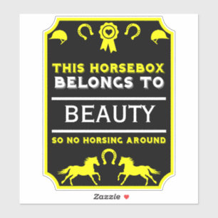 Horsebox Horse Riding