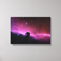 Horsehead Nebula Barnard 33 NASA