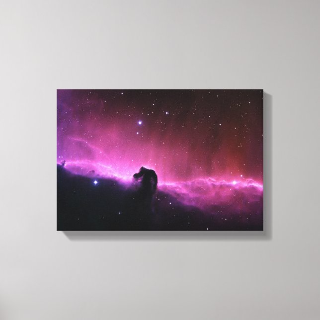 Horsehead Nebula Barnard 33 NASA Canvas Print (Front)