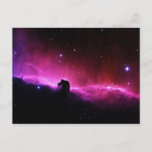 Horsehead Nebula Postcard<br><div class="desc">The Horsehead Nebula (also known as Barnard 33 in bright nebula IC 434) is a dark nebula in the constellation Orion. The nebula is located just to the south of the star Alnitak, which is furthest east on Orion's Belt, and is part of the much larger Orion Molecular Cloud Complex....</div>