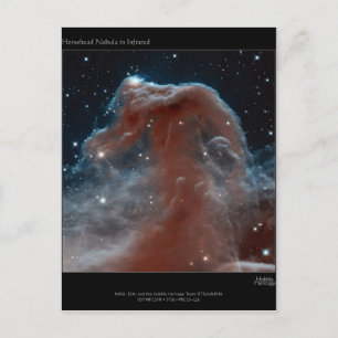 Horsehead Nebula Postcard