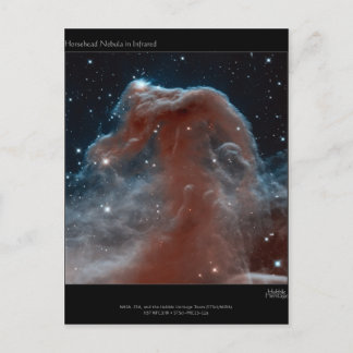 Horsehead Nebula Postcard