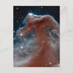 Horsehead Nebula Space Astronomy Postcard