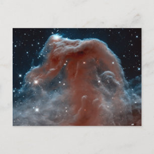 Horsehead Nebula Space Astronomy Postcard