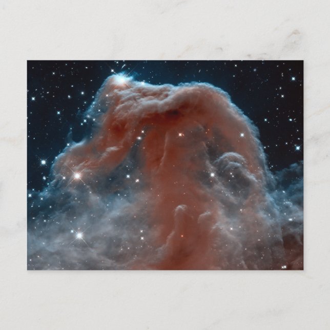 Horsehead Nebula Space Astronomy Postcard (Front)