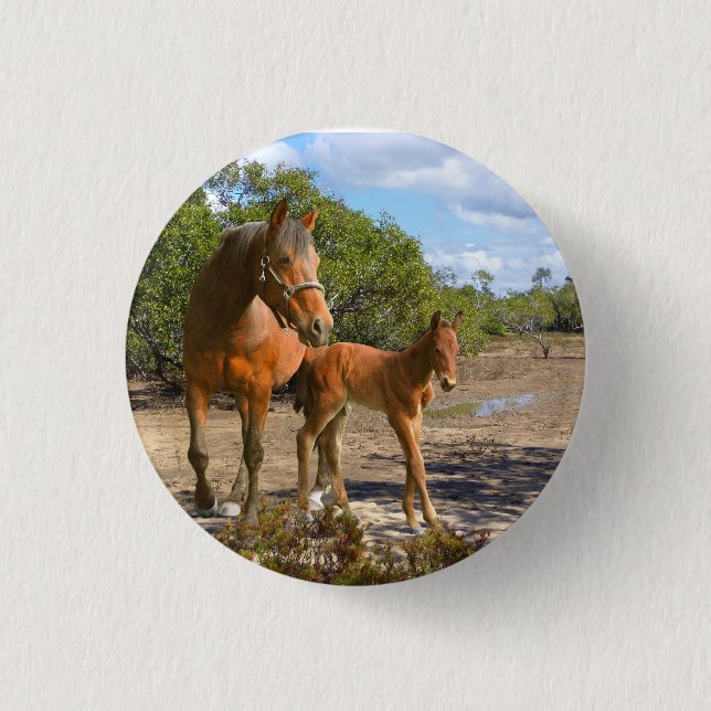 horses 1 inch round button (Front)