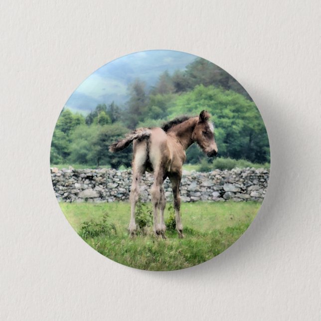 HORSES 2 INCH ROUND BUTTON (Front)