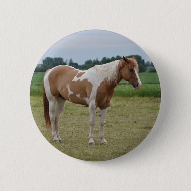 Horses 2 Inch Round Button (Front)