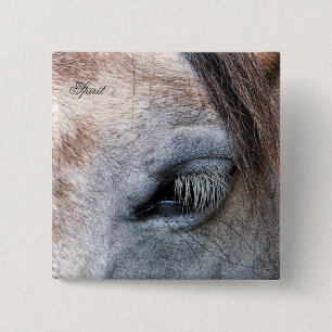 HORSES 2 INCH SQUARE BUTTON