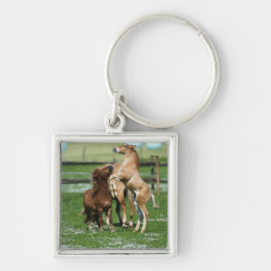 Horses 3 keychain