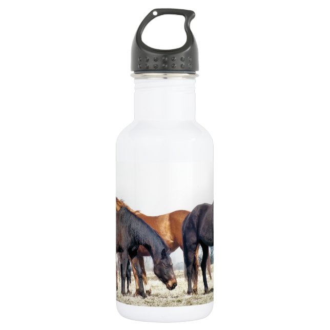 HORSES 532 ML WATER BOTTLE (Front)