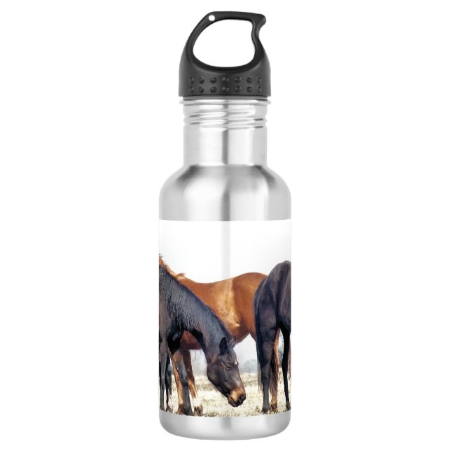 HORSES 710 ML WATER BOTTLE (Front)