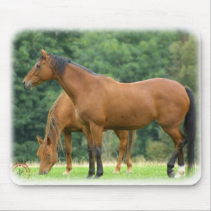 Horses 9A81D-10 Mouse Pad